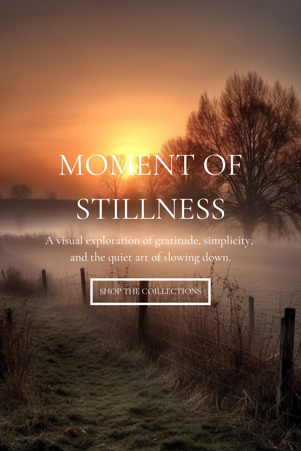 Moments of Stillness Collection
