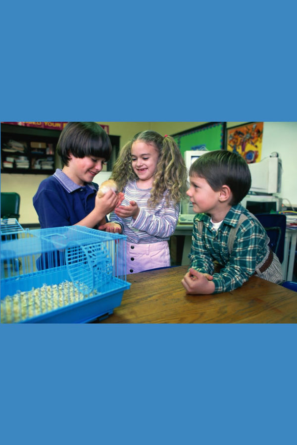 The Power of Self Esteem