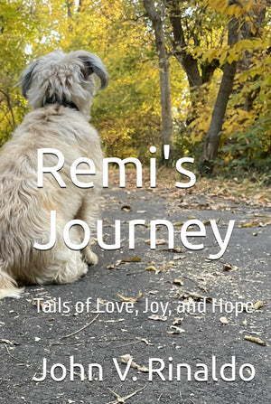 Remi's Journey